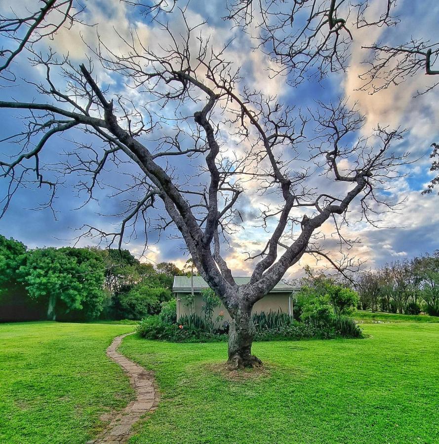 Villa Oppieplaas Country Estate Haga Haga Esterno foto